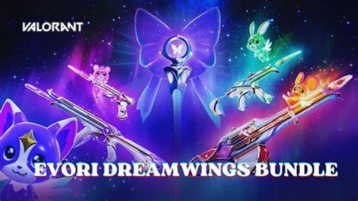 Evori Dreamwings Bundle: A Comprehensive Guide to Unlocking Your Full Potential