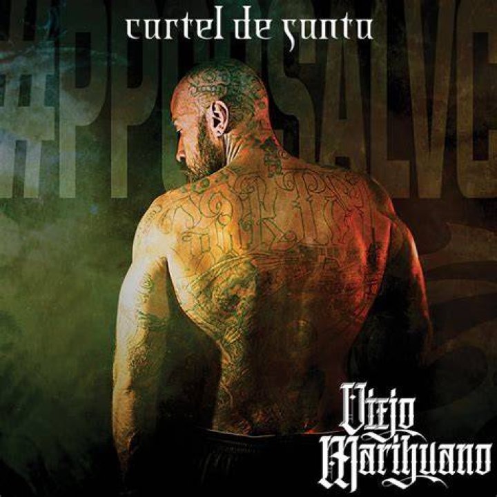 Exploring the Fascination Behind "Cul&oacute;n Culito Cartel de Santa Lyrics"