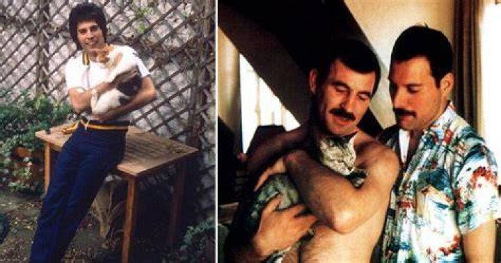 Freddie Mercury's Son: The Untold Story