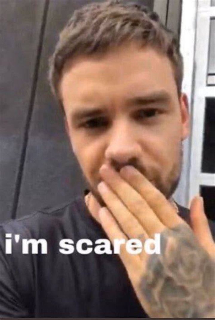 Funny Liam Payne Pics: A Collection of Laughter and Charm