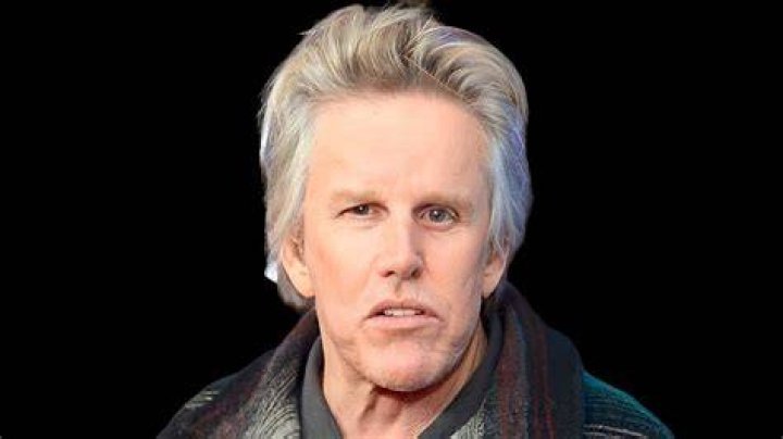 Gary Busey Net Worth 2024: A Look at the Actor's Wealth and Success