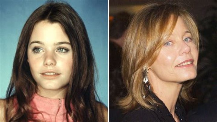 Susan Dey Now: A Journey Through Her Life and Career